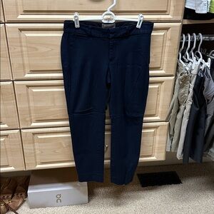 Banana Republic Navy Sloan Fit Pants